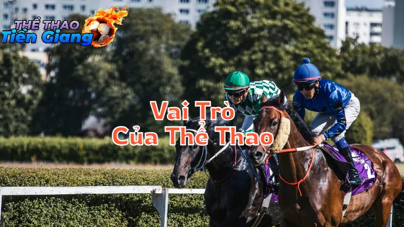Vai Trò Của Thể Thao Trong Xã Hội